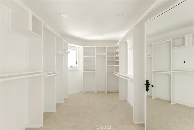 spacious closet with light colored carpet