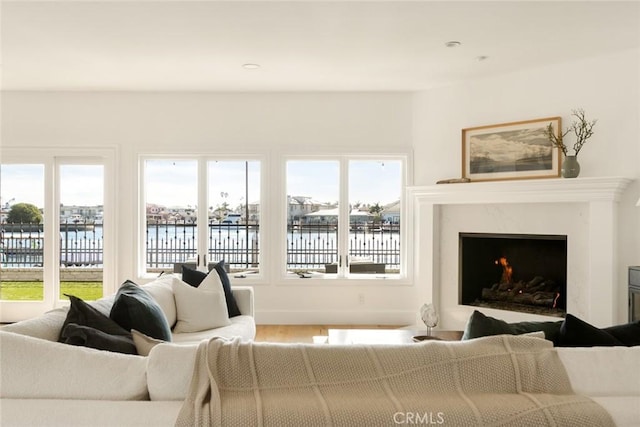 living room featuring hardwood / wood-style flooring, a fireplace, plenty of natural light, and a water view