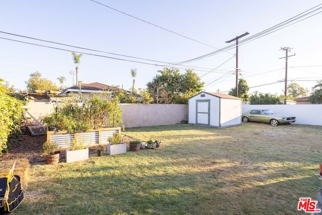 view of yard featuring a storage shed