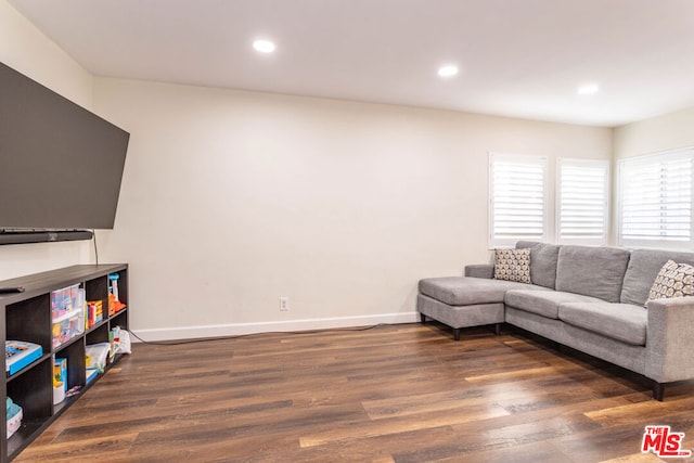 living room featuring dark hardwood / wood-style flooring