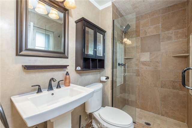 full bathroom with ornamental molding, a stall shower, a sink, and toilet