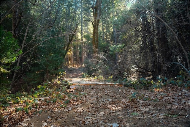 view of landscape