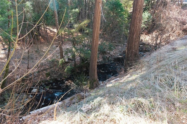 view of landscape