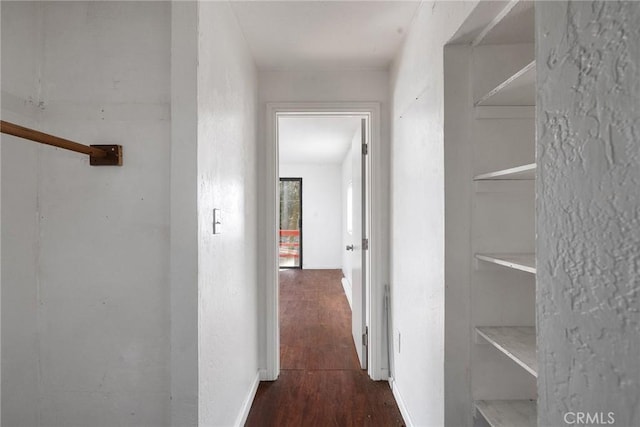 hallway with dark hardwood / wood-style flooring