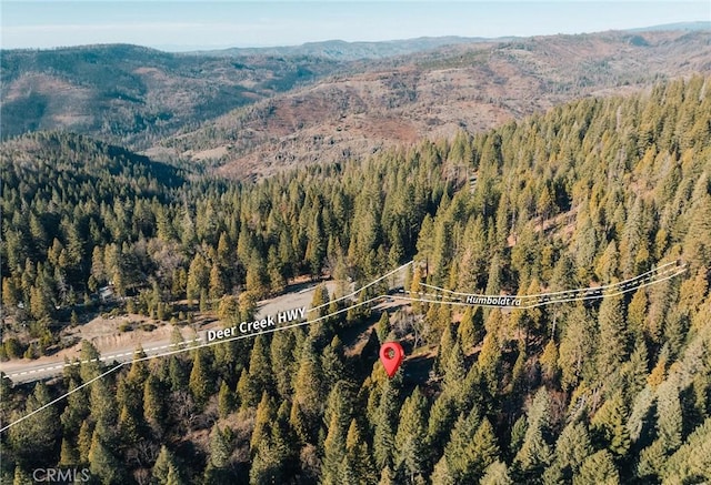 drone / aerial view with a mountain view