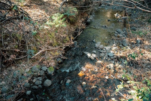 view of local wilderness