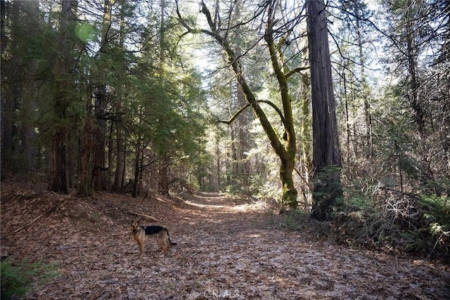 view of nature