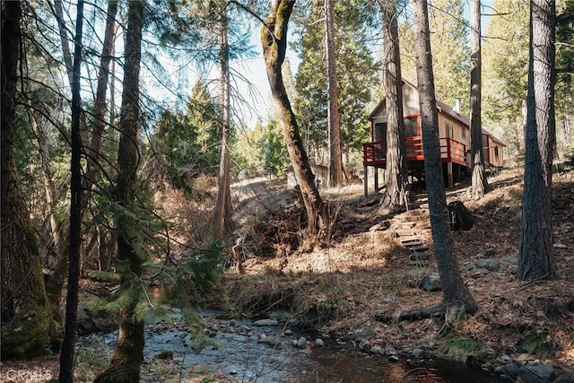 view of local wilderness featuring a water view