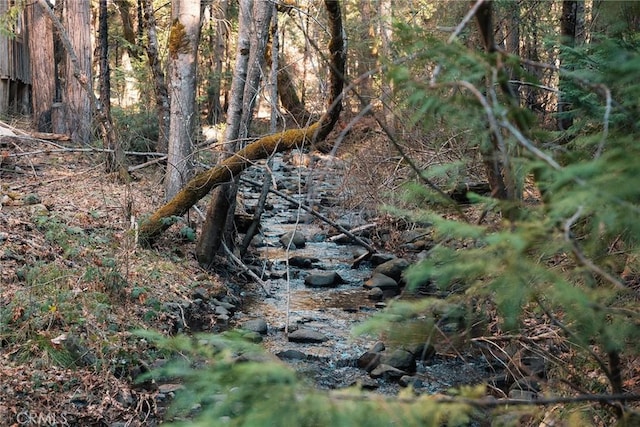 view of nature