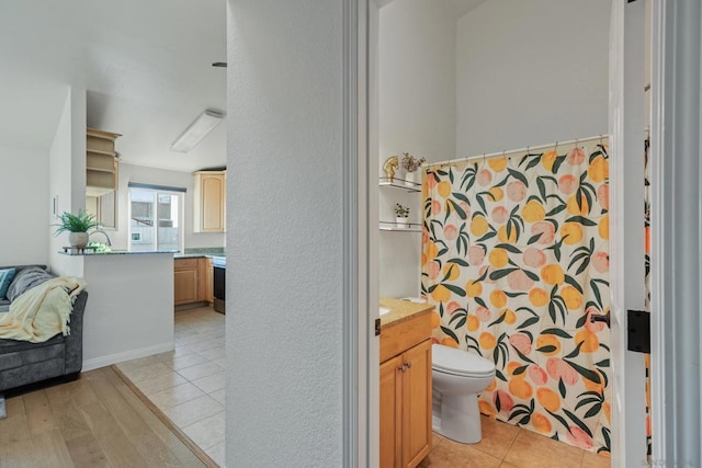 bathroom featuring vanity, toilet, and wood-type flooring