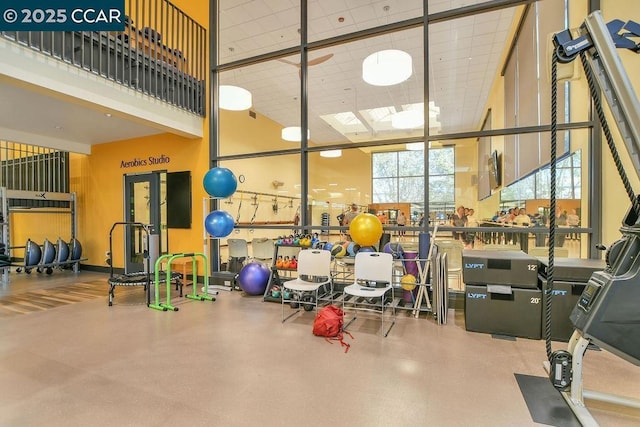 workout area with a towering ceiling