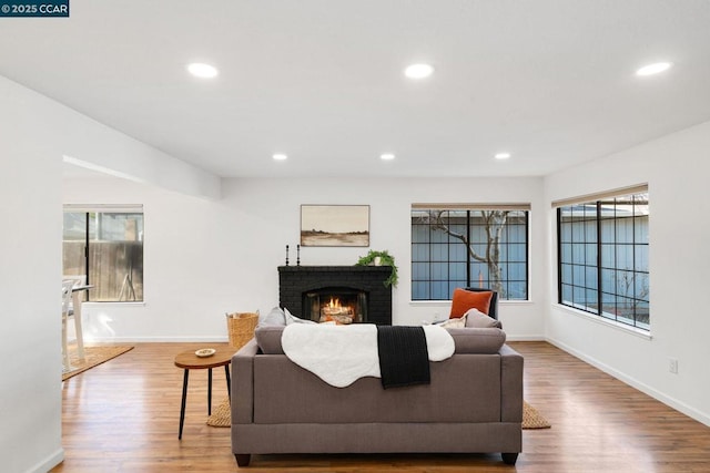 living room featuring a fireplace and wood-type flooring