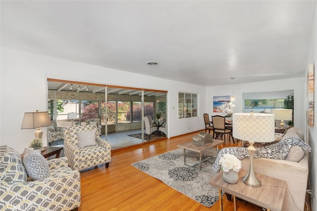 living room with wood-type flooring