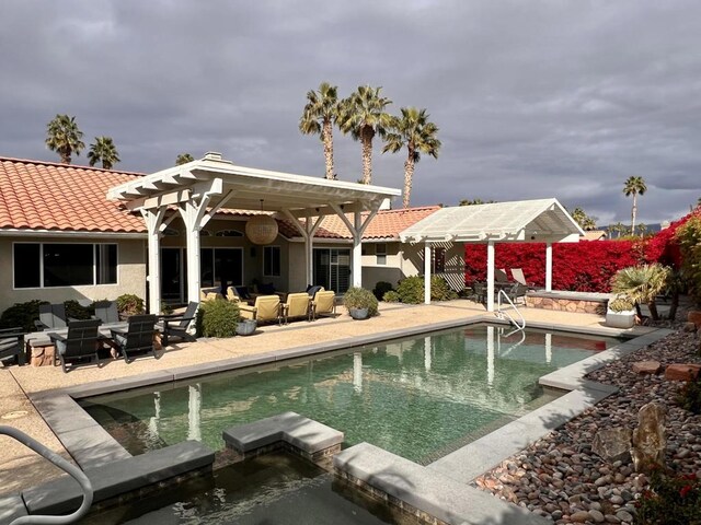 view of pool featuring a patio