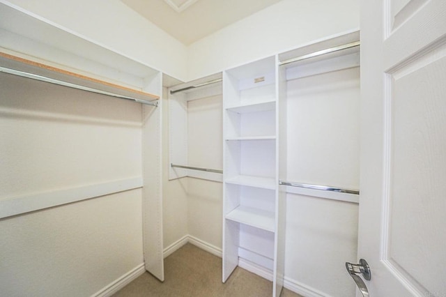 spacious closet with carpet