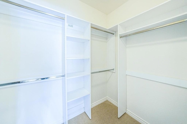 walk in closet featuring carpet flooring