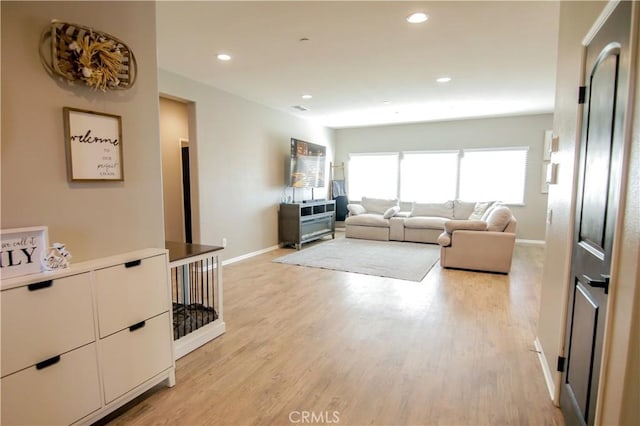 living room featuring light hardwood / wood-style floors