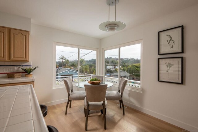 dining room with light wood-type flooring