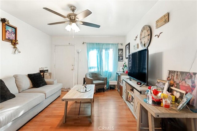 living room with ceiling fan and light hardwood / wood-style floors