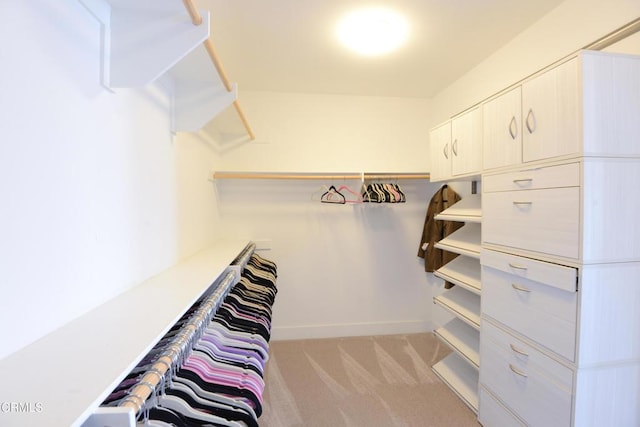 spacious closet with light carpet