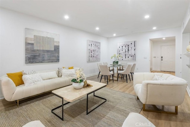 living room featuring light hardwood / wood-style flooring