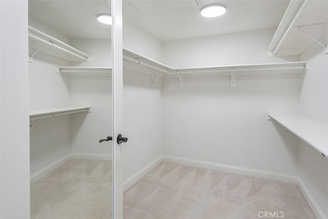 spacious closet featuring light colored carpet