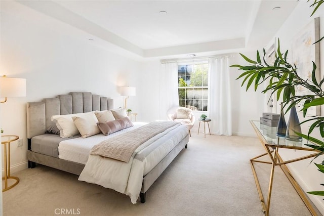 carpeted bedroom featuring a tray ceiling