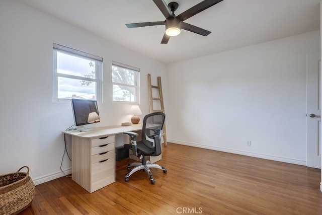 office area featuring ceiling fan and light hardwood / wood-style flooring