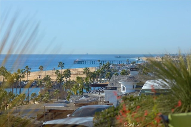 view of water feature featuring a beach view