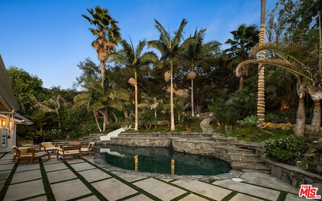 view of pool featuring a patio area