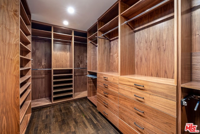 spacious closet with dark hardwood / wood-style flooring