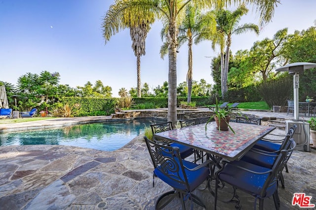 view of pool featuring a patio