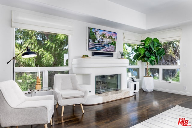 sitting room featuring dark hardwood / wood-style flooring