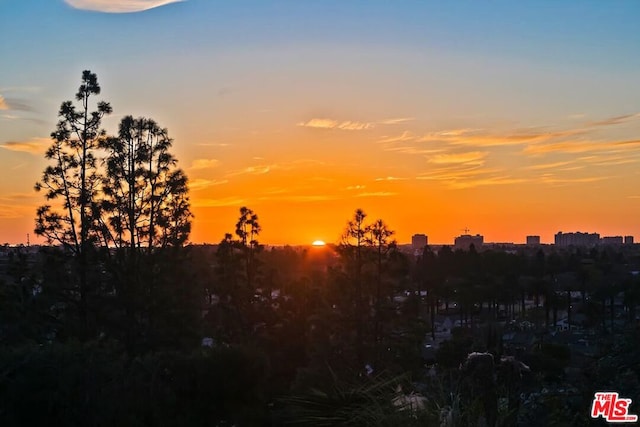 view of nature at dusk