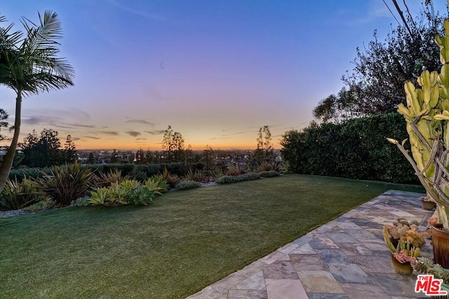 yard at dusk featuring a patio area