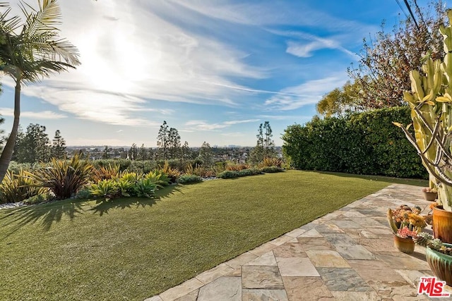 view of yard with a patio area