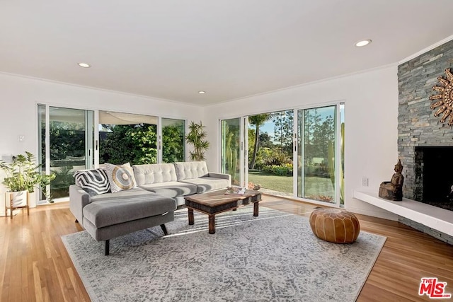 living room with ornamental molding, wood-type flooring, and a stone fireplace