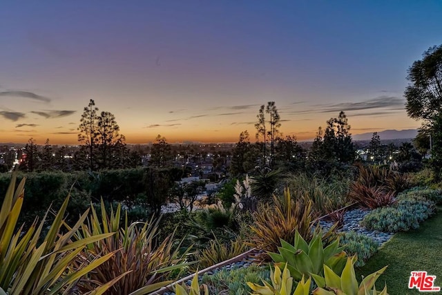 view of nature at dusk