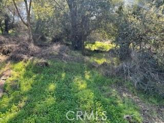 14212 Woodland Dr, Clearlake, CA 95422 - photo 6