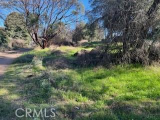 14212 Woodland Dr, Clearlake, CA 95422 - photo 4