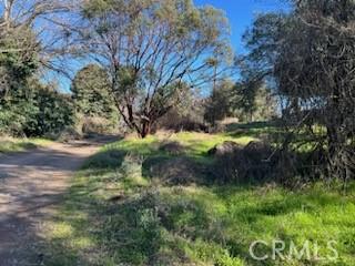 14212 Woodland Dr, Clearlake, CA 95422 - photo 5