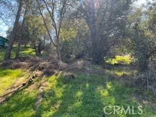 Listing photo 2 for 14212 Woodland Dr, Clearlake CA 95422