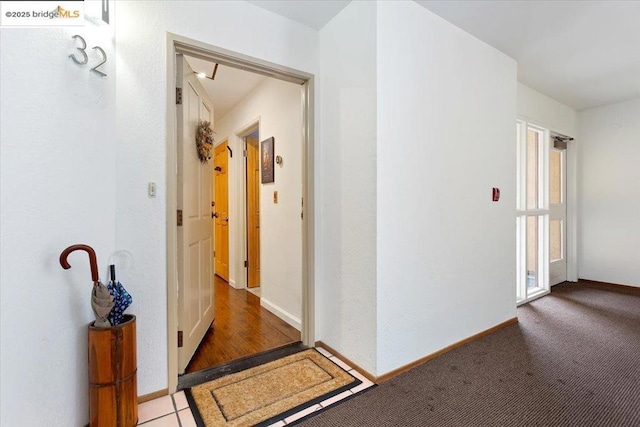 hallway with carpet flooring