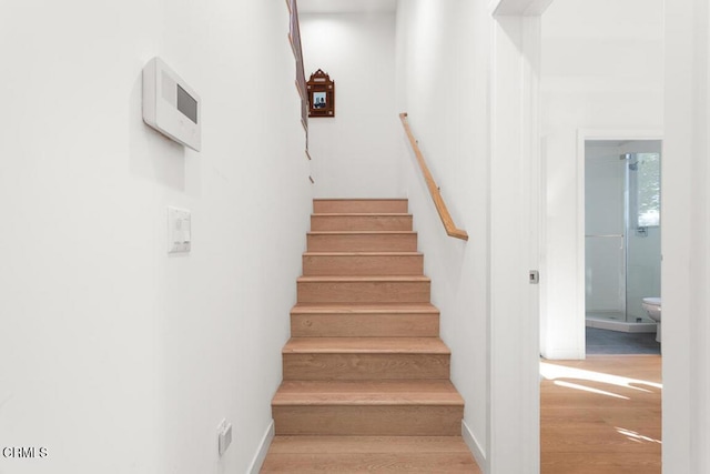 stairs with hardwood / wood-style flooring