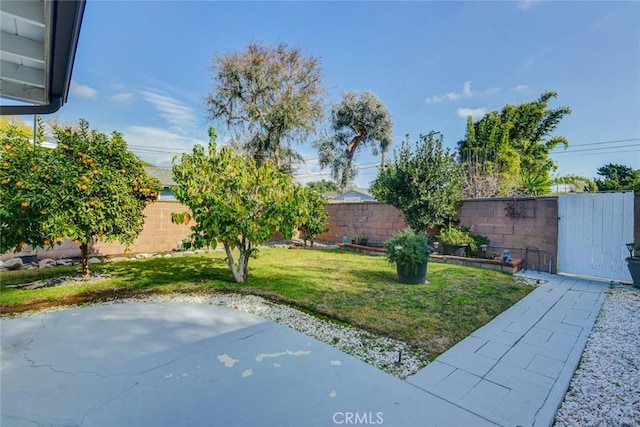 view of yard with a patio area