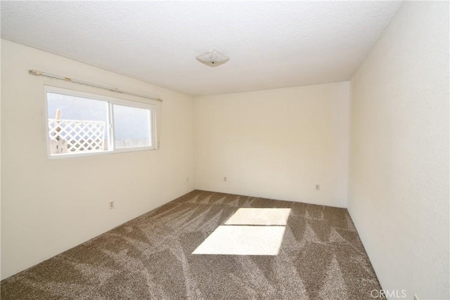 spare room with carpet