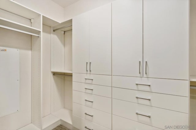 view of spacious closet