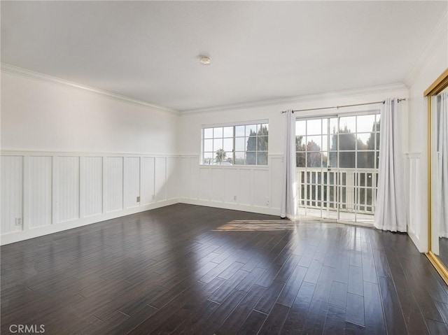 spare room featuring dark wood-type flooring and ornamental molding