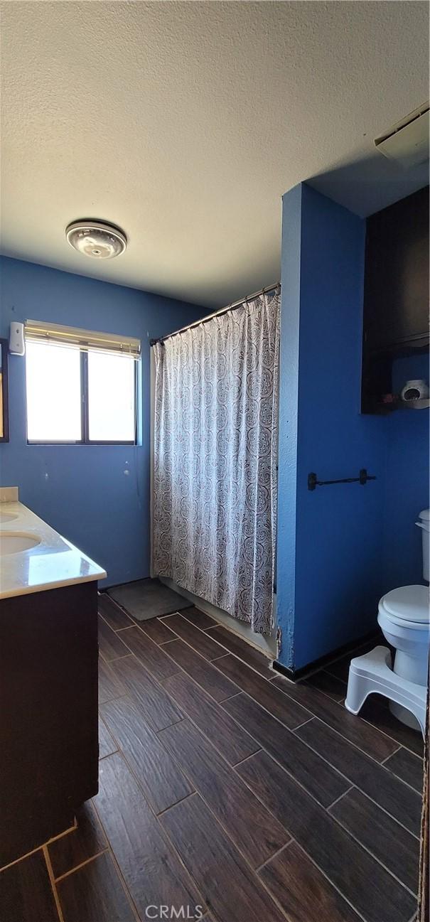 bathroom featuring vanity, a shower with shower curtain, a textured ceiling, and toilet