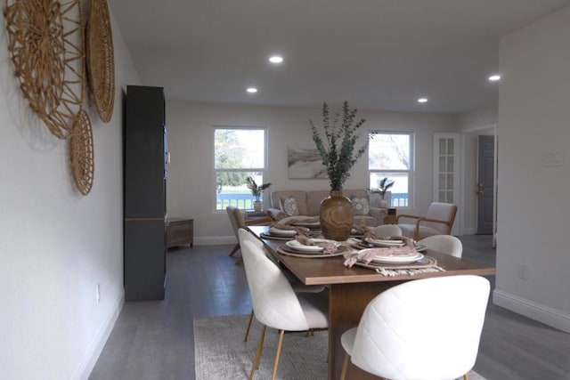 dining space featuring dark wood-type flooring